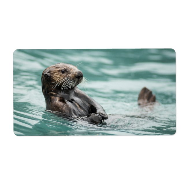 Watchning Sea Otter Fraktsedel (Framsidan)