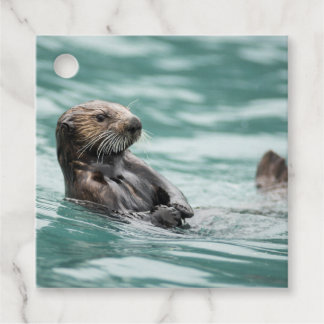 Watchning Sea Otter Gåvor Etiketter