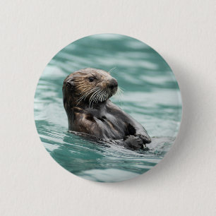 Watchning Sea Otter Knapp