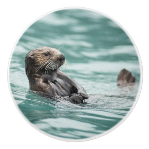 Watchning Sea Otter Knopp