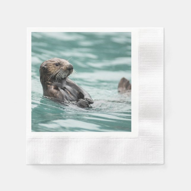 Watchning Sea Otter Pappersservett (Framsidan)