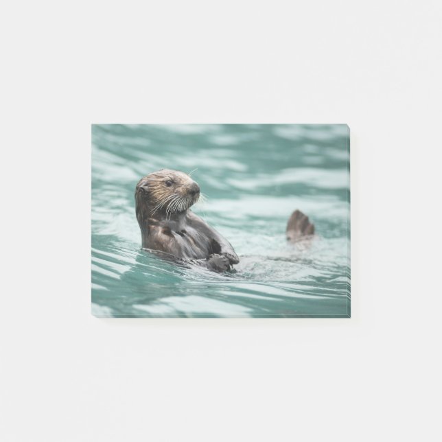 Watchning Sea Otter Post-it Block (Framsida)