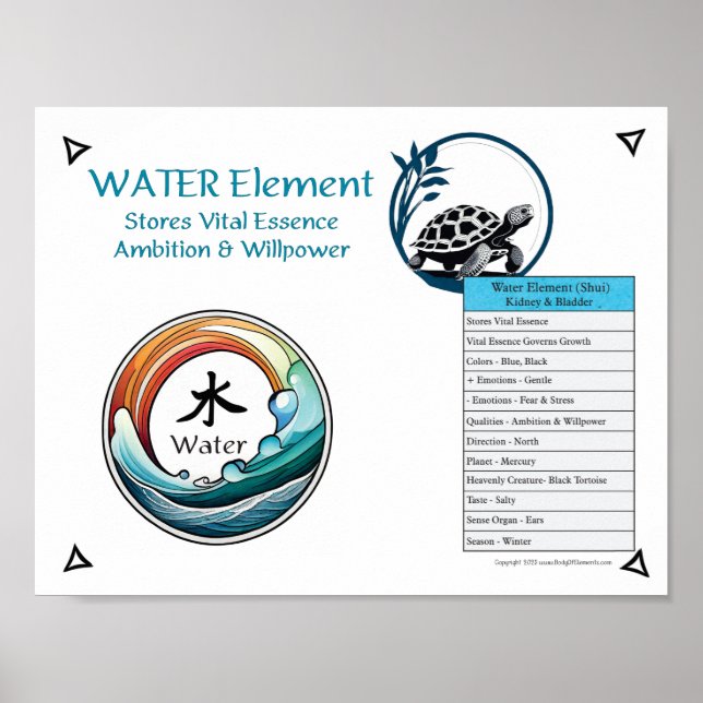 Water Element Acupuncture Poster (Framsidan)
