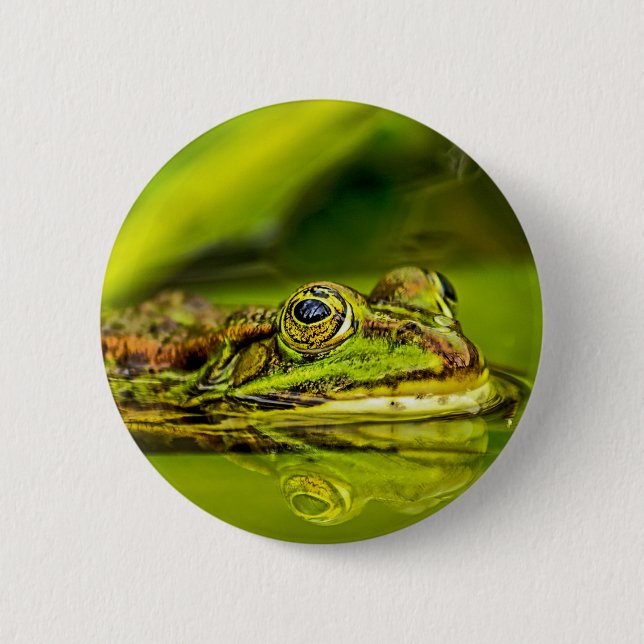 water frog knapp (Framsida)