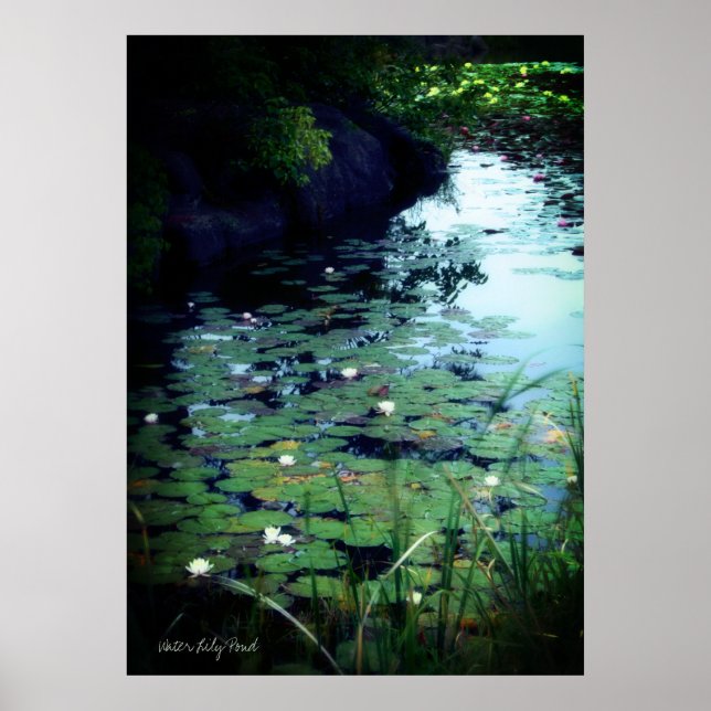 Water Lily Pond ：Archive Heavy Weight Paper Poster (Framsidan)
