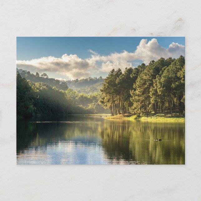 Water | Pang Oung Lake & Pine Forest Thailand Vykort (Framsida)