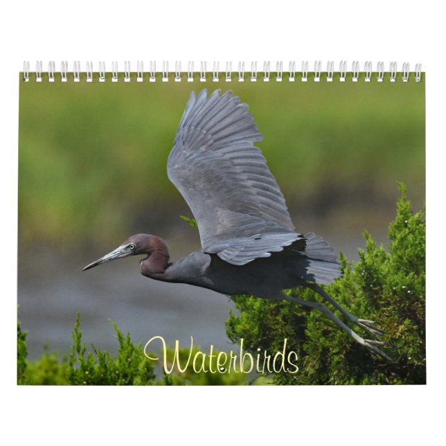 Waterbirds 4 kalender (Omslag)