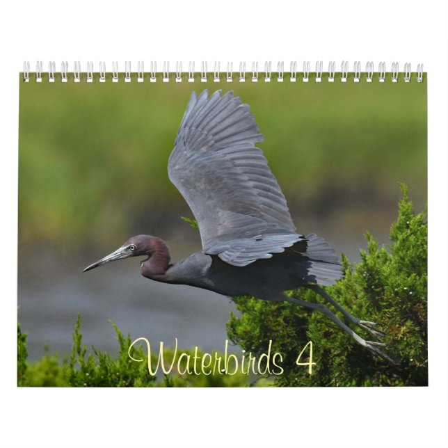 Waterbirds 4 kalender (Omslag)