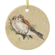 Watercolor American Kestrel, Falcon Bird Couple