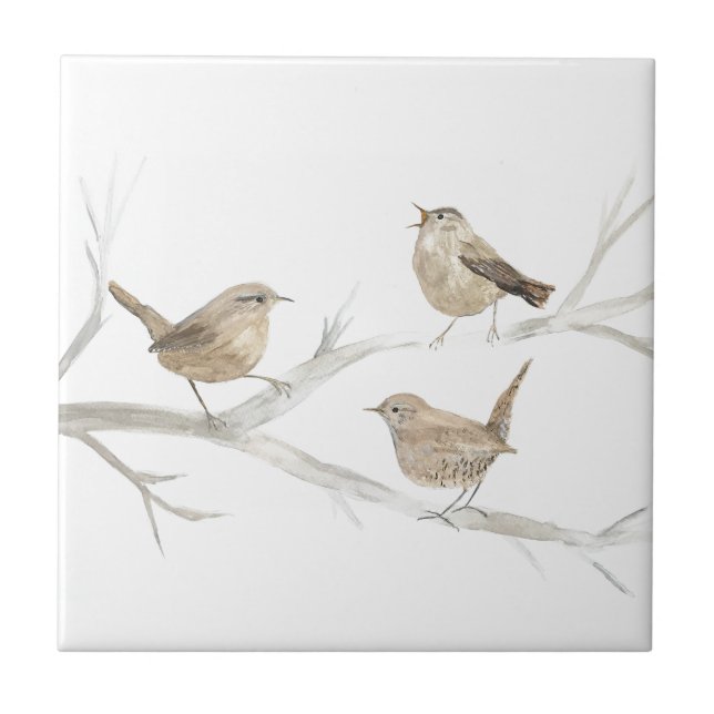 Watercolor Art Cute Wren Bird Wildlife Kakelplatta (Framsidan)