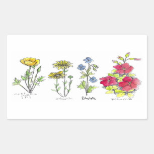 Watercolor Art. Wildblomma Teckning Black Bläck Pe Rektangulärt Klistermärke