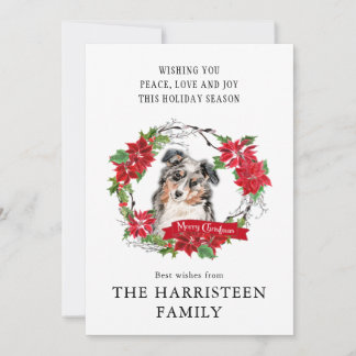 Watercolor Australian shepherd Poinsettia Wandeans Julkort