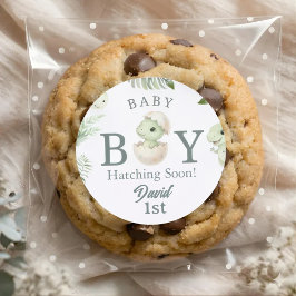 Watercolor Baby Boy Dinosaur 1st Birthday & Baby S Fyrkantigt Klistermärke