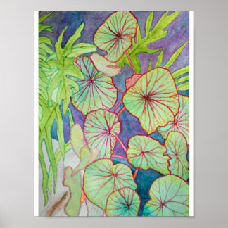 Watercolor Begonia och Philodendron Poster