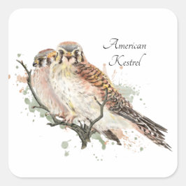 Watercolor Birding Kestrel par Fyrkantigt Klistermärke