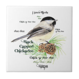 Watercolor Black Caps Chickadee Bird Art Kakelplatta