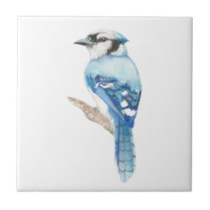 Watercolor Blue Jay Bird Art Kakelplatta