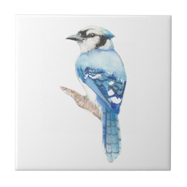 Watercolor Blue Jay Bird Art Kakelplatta (Framsidan)