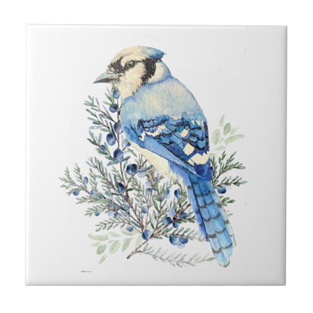 Watercolor Blue Jay Bird Blueberries Country Art Kakelplatta (Framsidan)