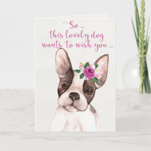 Watercolor Boston Terrier Hund Grattis på födelsed Kort