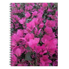 Watercolor-Bougainvillea Anteckningsbok Med Spiral
