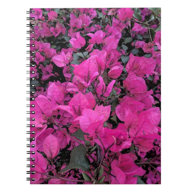 Watercolor-Bougainvillea Anteckningsbok Med Spiral (Framsidan)