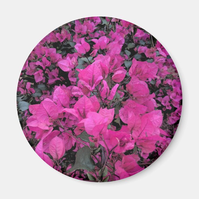Watercolor-Bougainvillea Magnet (Framsidan)