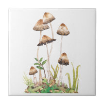 Watercolor Brown Forest Mushrum