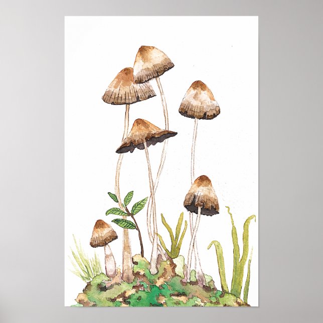 Watercolor Brown Forest Mushrum Poster (Framsidan)