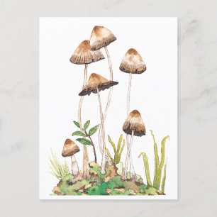 Watercolor Brown Forest Mushrum Vykort