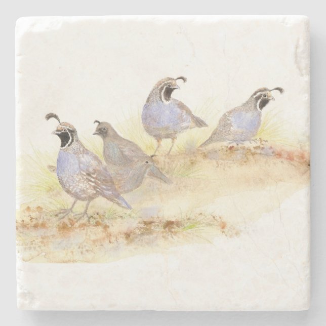 Watercolor California Quail Bird Nature Art Underlägg Sten (Framsidan)