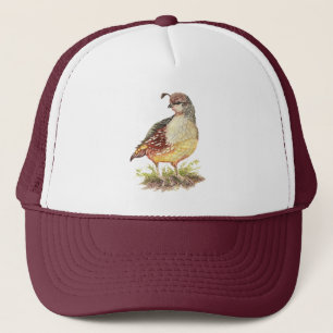 Watercolor California Quail Garden Bird Nature Art Keps