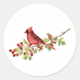 Watercolor Cardinal Bird on Berry Branch  Runt Klistermärke