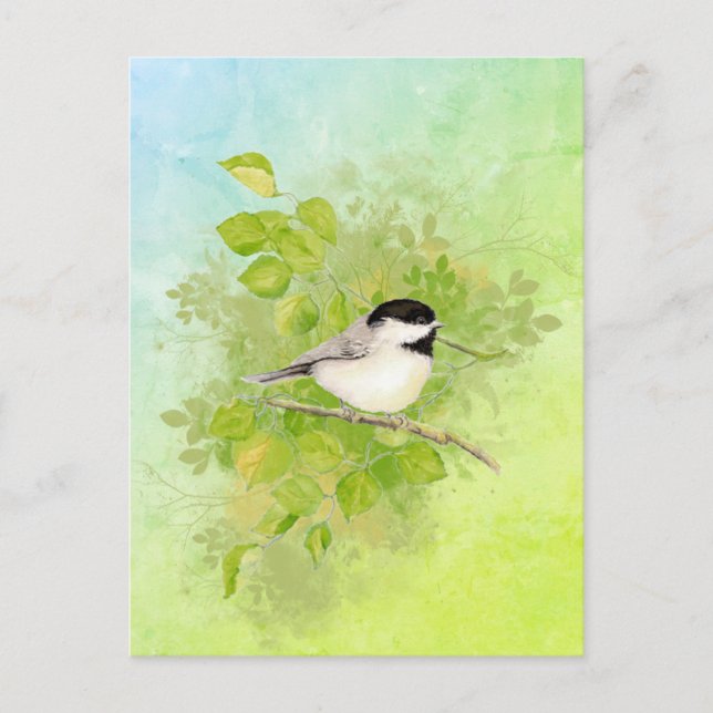 Watercolor Chickadee Bird Wildlife Nature Art Vykort (Framsida)