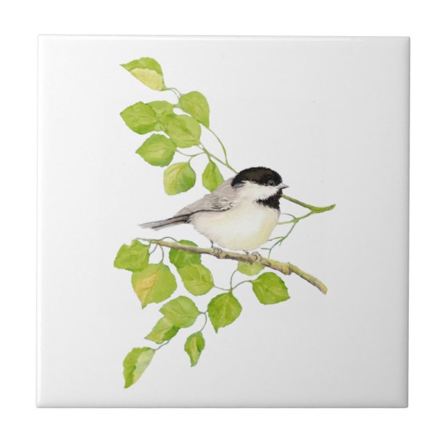 Watercolor Chickadee Poplar Träd Art Kakelplatta (Framsidan)