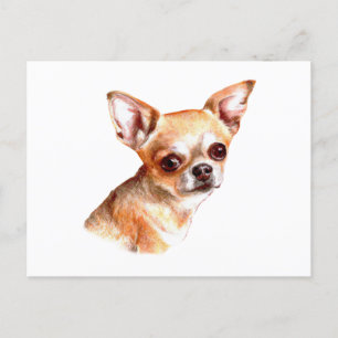 Watercolor Chihuahua Vykort