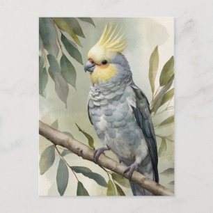 Watercolor Cockatiel Eucalyptus Träd Vykort
