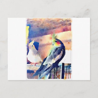 Watercolor Cockatiel Vykort