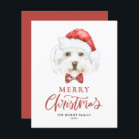 Watercolor Cute Malta Santa God jul Card<br><div class="desc">God jul! Skicka ditt helgdag till familj och vänner med anpassadets julkort. Den har en vattenfärg på maltesisk hund som bär en julhatt. Anpassa det här julkortet till hund genom att lägga till dina uppgifter. Detta maltesiska julkort för hund finns på andra djurhållare. Matchande objekt är tillgängliga.</div>