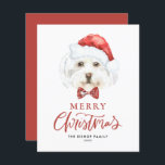 Watercolor Cute Malta Santa God jul Card<br><div class="desc">God jul! Skicka ditt helgdag till familj och vänner med anpassadets julkort. Den har en vattenfärg på maltesisk hund som bär en julhatt. Anpassa det här julkortet till hund genom att lägga till dina uppgifter. Detta maltesiska julkort för hund finns på andra djurhållare. Matchande objekt är tillgängliga.</div>