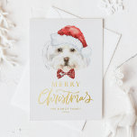 Watercolor Cute Maltese Santa God jul<br><div class="desc">God jul! Skicka helgdag önskemål till familj och vänner med anpassadet julvykort. Den har en vattenfärg på maltesisk hund som bär en julhatt. Anpassa det här guld-folievykortet genom att lägga till dina uppgifter. Detta maltesiska julkort för hund finns på andra djurhållare. Matchande objekt är tillgängliga.</div>