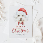 Watercolor Cute Maltese Santa God jul Helg Vykort<br><div class="desc">God jul! Skicka helgdag önskemål till familj och vänner med anpassadet julvykort. Den har en vattenfärg på maltesisk hund som bär en julhatt. Anpassa det här hund vykort genom att lägga till dina uppgifter. Detta maltesiska julkort för hund finns på andra djurhållare. Matchande objekt är tillgängliga.</div>