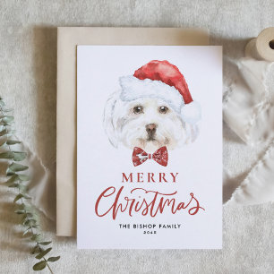 Watercolor Cute Maltese Santa God jul Helgkort