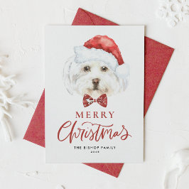 Watercolor Cute Maltese Santa God jul Julkort