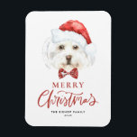 Watercolor Cute Maltese Santa God jul Magnet<br><div class="desc">God jul! Skicka helgdag önskemål till familj och vänner med anpassadets julmagnet. Den har en vattenfärg på maltesisk hund som bär en julhatt. Anpassa den här julmagneten i hund genom att lägga till dina detaljer. Denna maltesiska julmagnet för hund finns på andra djurhållare. Matchande objekt är tillgängliga.</div>