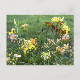 Watercolor Garden Vykort