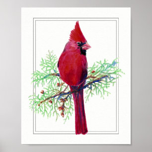 Watercolor God jul, kardinal Red Bird Poster