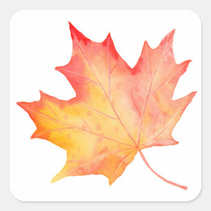 Watercolor Golden Maple Löv Fyrkantigt Klistermärke