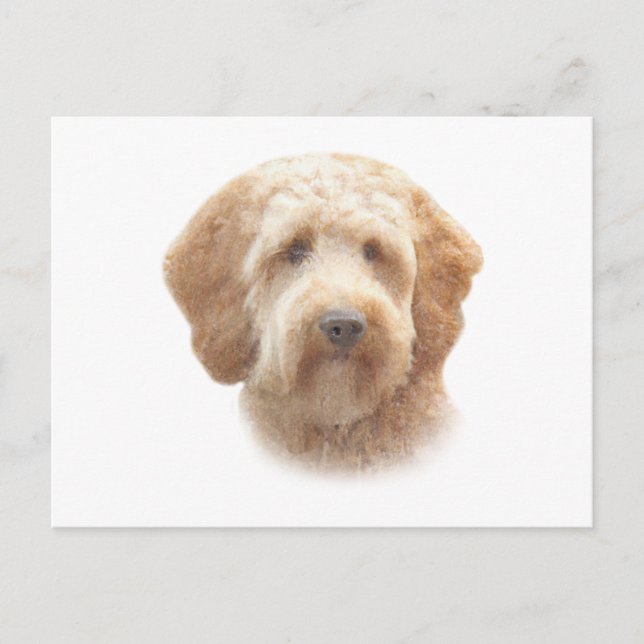 Watercolor Goldendoodle Vykort (Framsida)