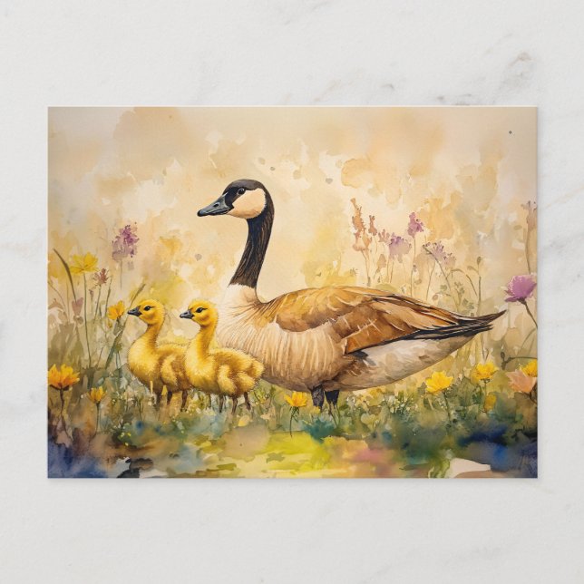 Watercolor Goose och Goslings Vår Vykort (Framsida)